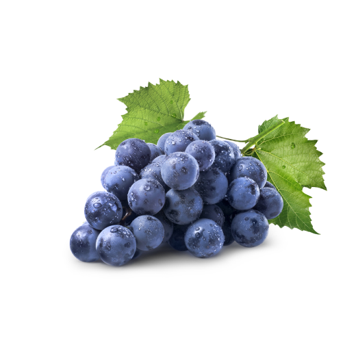 Frutta